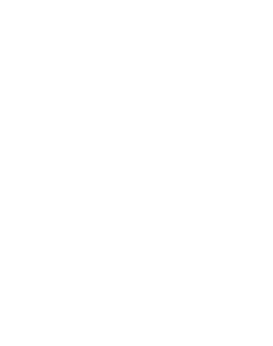 Elephant Studio